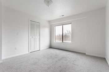 A white room with a carpeted floor, a door, and a window.